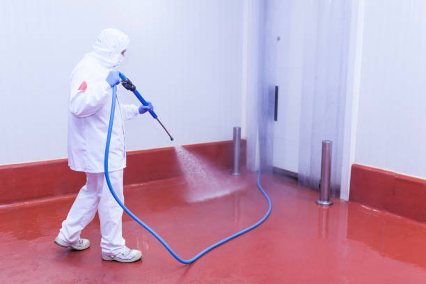 Best Patio and Deck Pressure Washing  in Prospect Rk, PA